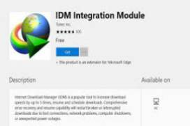 IDownload Manager iDM